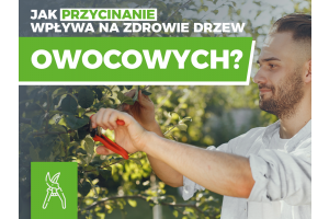 Przycinanie drzew owocowych