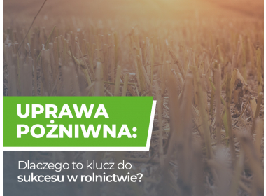 Uprawa pożniwna: dlaczego to klucz do sukcesu w rolnictwie