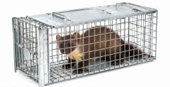 22414 - INNY - PUŁAPKA NA SZCZURY KUNY ŻYWOŁAPKA SKUTECZNA